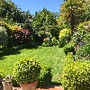 Bedford Park Open Gardens