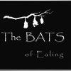 The Bats of Ealing  
